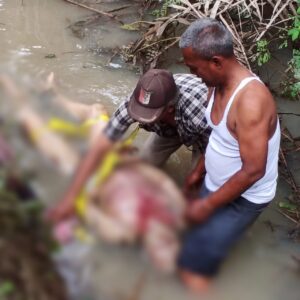 Geger, Warga Kabupaten Langkat Temukan Mayat Mr.X Di pinggir Parit Kebun