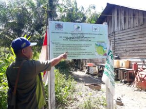 Mengembalikan Fungsi Hutan Kelompok Tani Nipah Basmi Sawit Ilegal, Sesuai Peraturan Menteri LHK