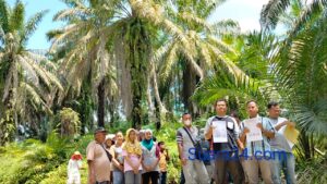 Poktan Gaharu Indah Merasa Ditipu, Kadis Pertanian Ketapang Kabupaten Langkat Angkat Bicara