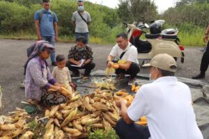 Bupati Pakpak Bharat Perintahkan Penyuluh Pertanian Rutin Turun Ke Lahan Warga.