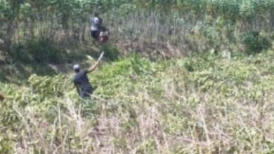 Photo of Tanaman Mangrove Kwala Serapuh Kembali Ditebang Orang Suruhan Toke Tambak