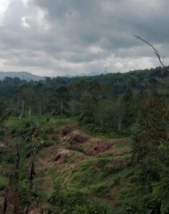 Masyarakat Adat Desa Pettal Korban PHP PT Toba Pulp Lestari Tbk