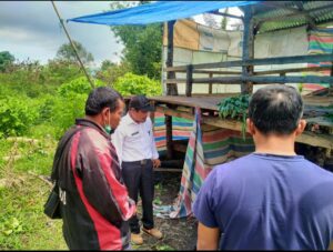 Lagi!Kadis Pertanian Dairi Pantau kelompok Tani, kali ini Dipeternakan Kambing Di Bintang Mersada