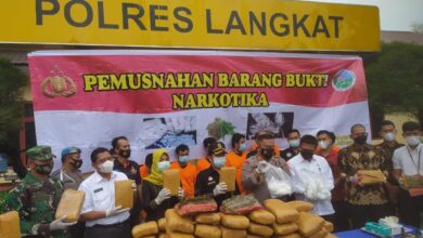 Photo of Bupati Apresiasi Polres Langkat, Dalam Pemusnahan 93 Kg Ganja Dan 3 Kg Sabu