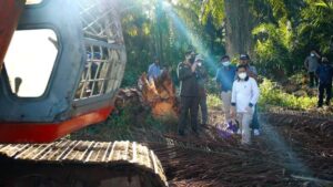 Franc Bernhard Tumanggor Tinjau Pelaksanaan Replanting Di Pagindar