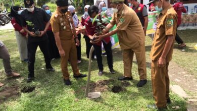 Photo of Pemkab Langkat Tanam 1.000 Bibit Pohon Bersama Mahasiswa UIN SU