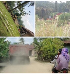 Galian C Diduga Ilegal Bebas Beroperasi Di Kecamatan Hinai