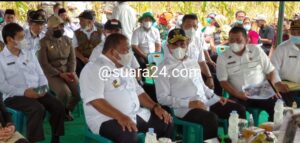 Bupati Langkat Siap Mendukung Perencaan Gubsu Dengan Panen Jagung di Sumut dikelola BUMD