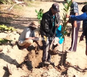 Menanam Mangrove Gapoktan Tunas Sakti, Mendapat Intimidasi dari Oknum Anggota Ormas