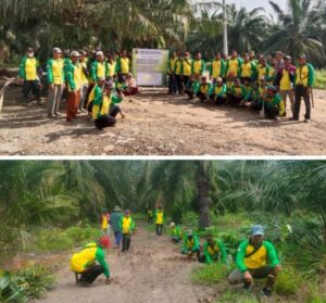 Diduga Pengusaha Kebun Sawit Tanpa Izin Menggarap Kawasan Hutan, Gapoktan Tunas Sakti Sesalkan Sikap KPH Wilayah I Stabat