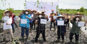 Plt Bupati Langkat Bersama LPHD Tanam 10 Ribu Bibit Mangrove