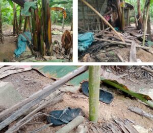 Diduga Pengedar Sabu Diciduk di Desa Air Hitam, KBO Sat Nakoba Polres Langkat “Tidak Ada Penangkapan