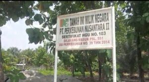 Mendorong Peningkatan Poduksi Kelapa Sawit, PTPN 2 Akan Bersihkan HGU 103 Kebun