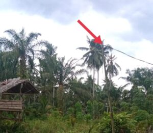 Permohonan Penambahan Tiang dan Volltase Belum Terealisasikan, Surkani Minta Pihak PLN Bisa Percepat Permintaan Warga