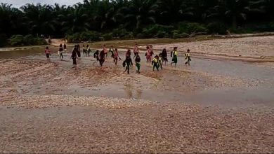 Photo of Puluhan Anak SD di Langkat Bertaruh Nyawa Menyebrangi Sungai Untuk ke Sekolah