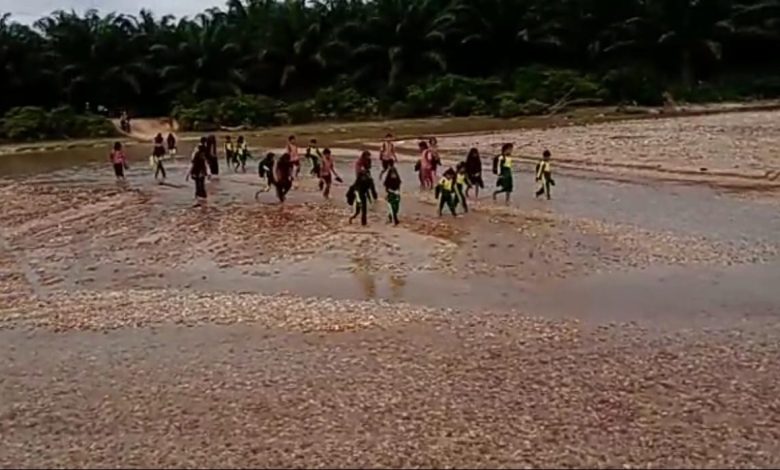Photo of Puluhan Anak SD di Langkat Bertaruh Nyawa Menyebrangi Sungai Untuk ke Sekolah
