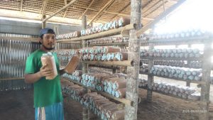Petani Jamur di Desa Bintang Meriah Harapkan Bantuan Dari Pemerintah