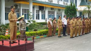 Plt Bupati Langkat Jelaskan Pemanfaatan Teknologi Informasi Digital Bagi Pemerintahan