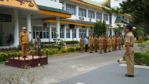 Apel Gabungan Pemkab Langkat, Syah Afandin: Ciptakan Pemilu Damai