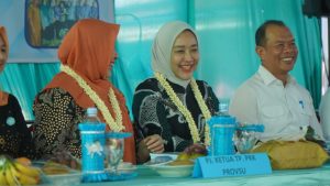 Sekda Amril Dan Pj Ketua PKK Langkat Sambut Tim TP PKK Sumut