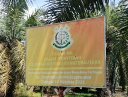 Perkebunan Kelapa Sawit Sitaan Kejaksaan Tinggi Sumut di Kawasan Suaka Margasatwa Masih di Panen, BKSDA “Tak Terawasi