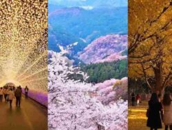Rekomendasi Itinerary Jepang untuk Natal & Tahun Baru