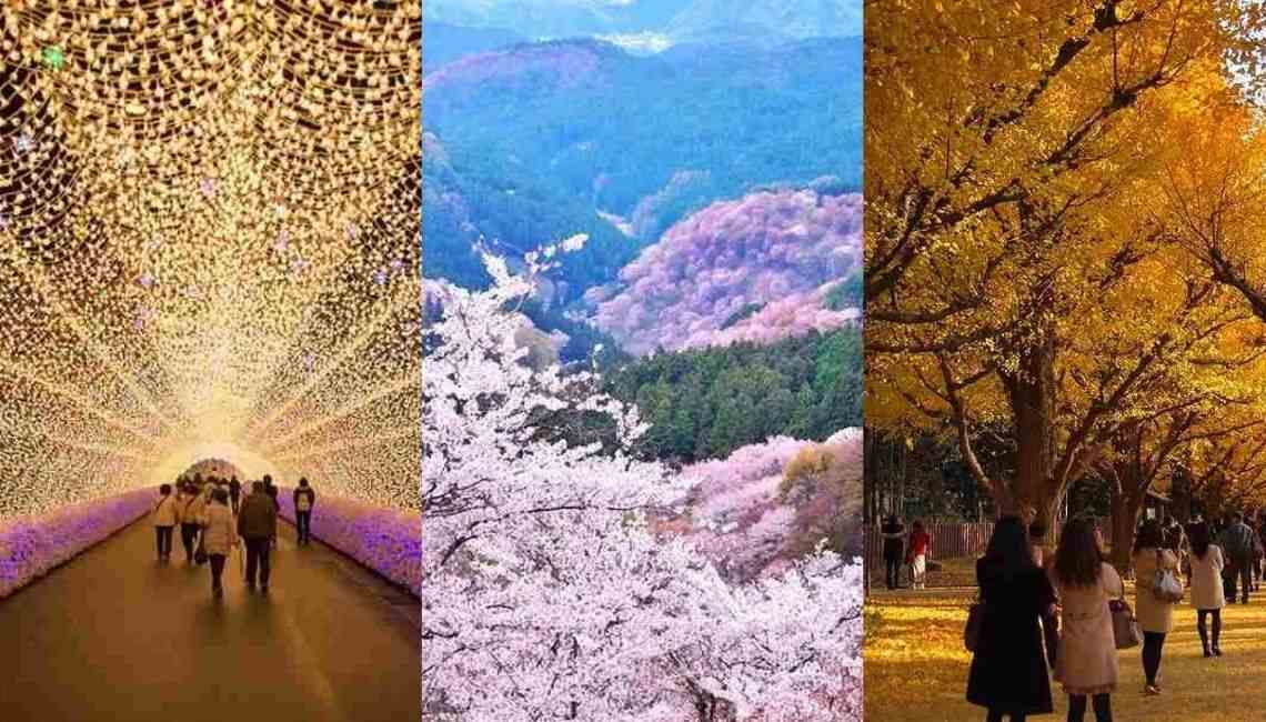 Rekomendasi Itinerary Jepang untuk Natal & Tahun Baru