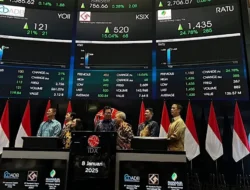 Cara Cek Track Record Underwriter di EmitenHub untuk Analisis IPO Terbaik