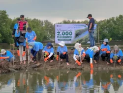 PT Dahana Tanam 2.000 Mangrove untuk Jaga Pesisir Subang