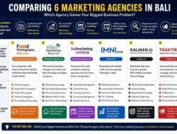 Comparing 6 Marketing Agencies in Bali: Which Agency Solves Your Biggest Business Problem?
